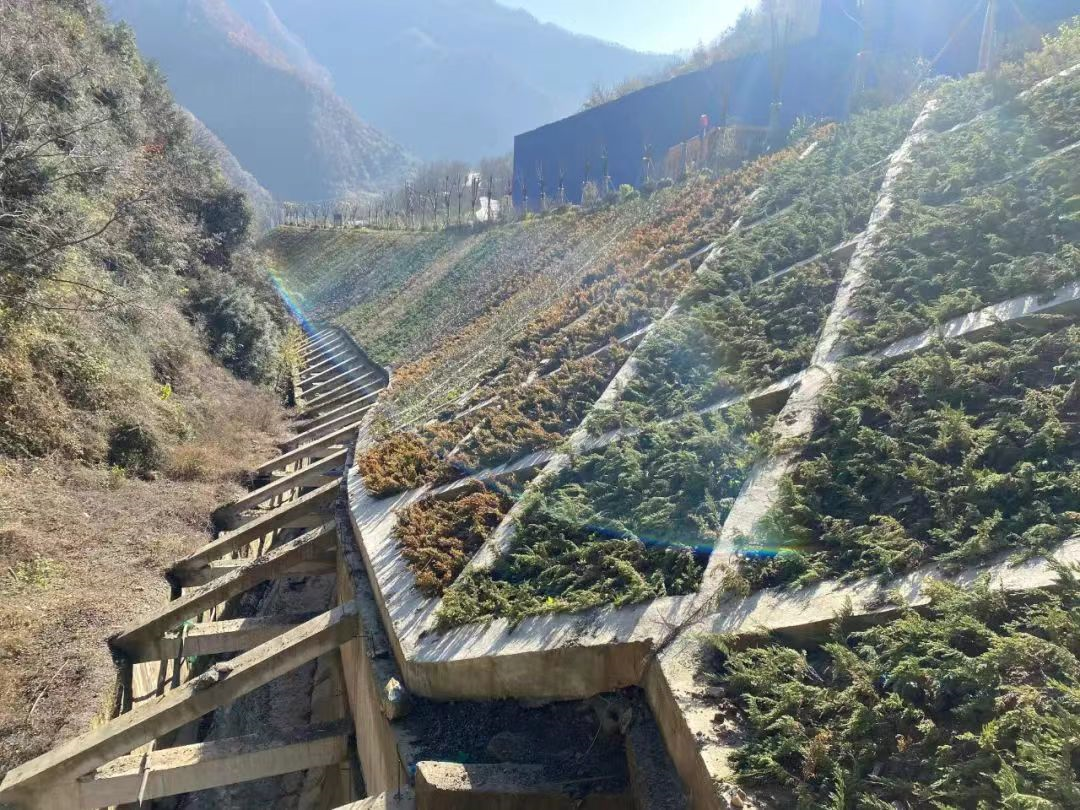 綠色礦山我們在行動 綠色礦山我們在行動