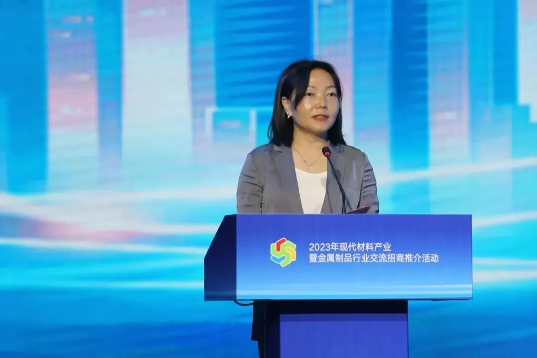 楊海峰出席勉縣2023年現代材料產業暨金屬制品行業交流招商推介活動 楊海峰出席勉縣2023年現代材料產業暨金屬制品行業交流招商推介活動