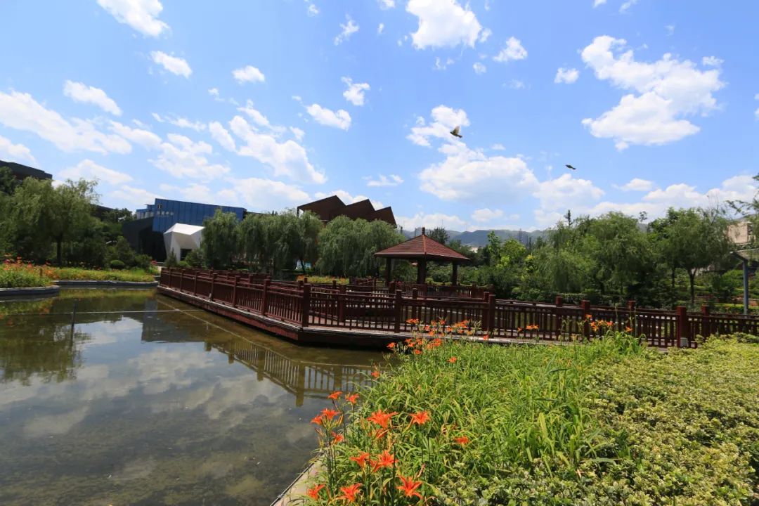 龍鋼公司:綠色發展繪出幸福底色 龍鋼公司:綠色發展繪出幸福底色