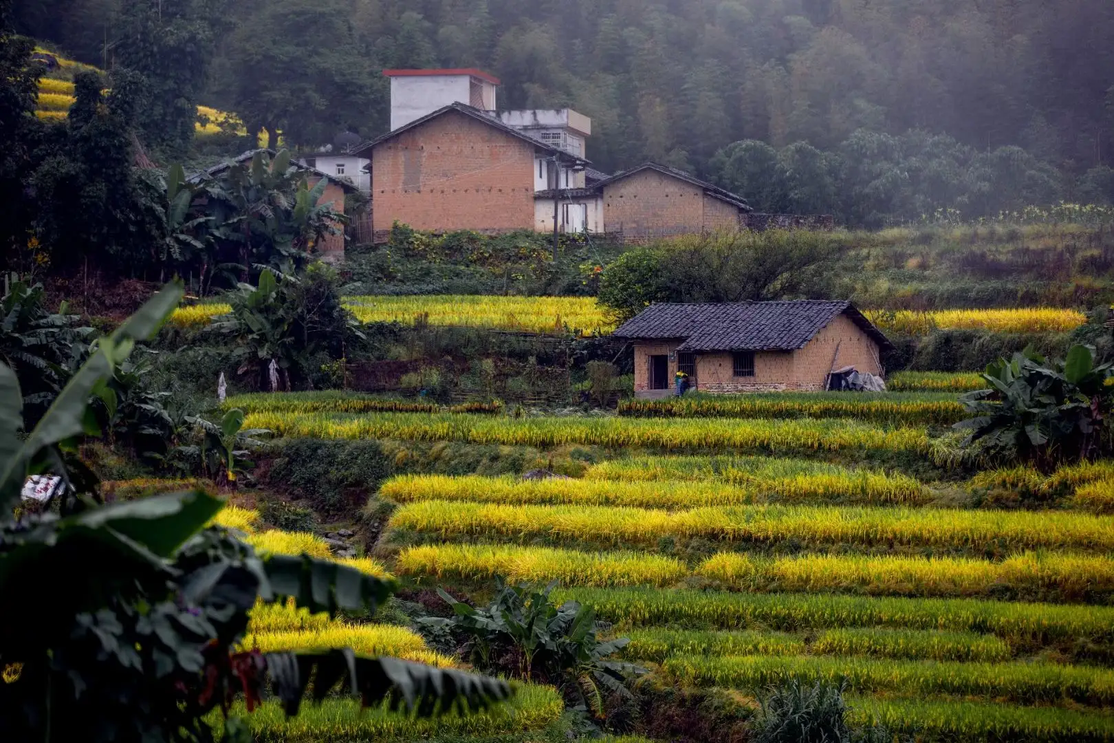 һ�������һ�����