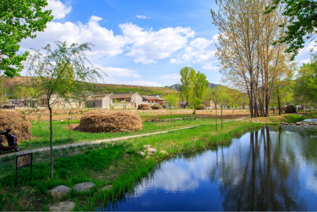 һ�������һ�����