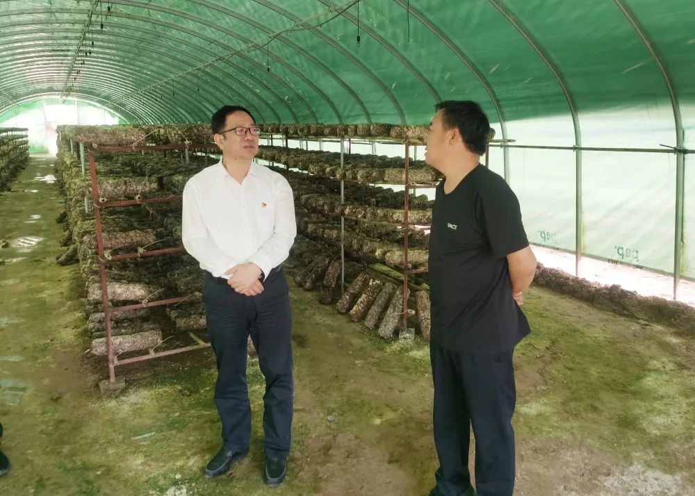 陜鋼集團(tuán)開(kāi)展抓黨建促鄉(xiāng)村振興工作調(diào)研 陜鋼集團(tuán)開(kāi)展抓黨建促鄉(xiāng)村振興工作調(diào)研