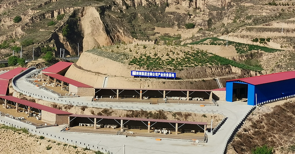 陜鋼集團(tuán)榮獲助力鄉(xiāng)村振興工作多項(xiàng)榮譽(yù) 陜鋼集團(tuán)榮獲助力鄉(xiāng)村振興工作多項(xiàng)榮譽(yù)