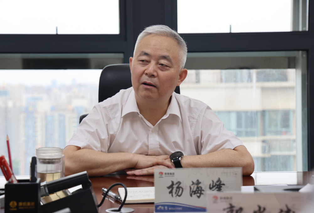 以務實舉措促黨建工作效率和質量再提升——楊海峰對高質量黨建工作提出要求 以務實舉措促黨建工作效率和質量再提升——楊海峰對高質量黨建工作提出要求