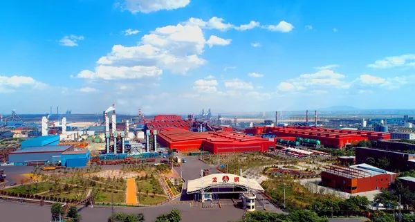 堅持紅色黨建引領 擦亮綠色發展名片 堅持紅色黨建引領 擦亮綠色發展名片