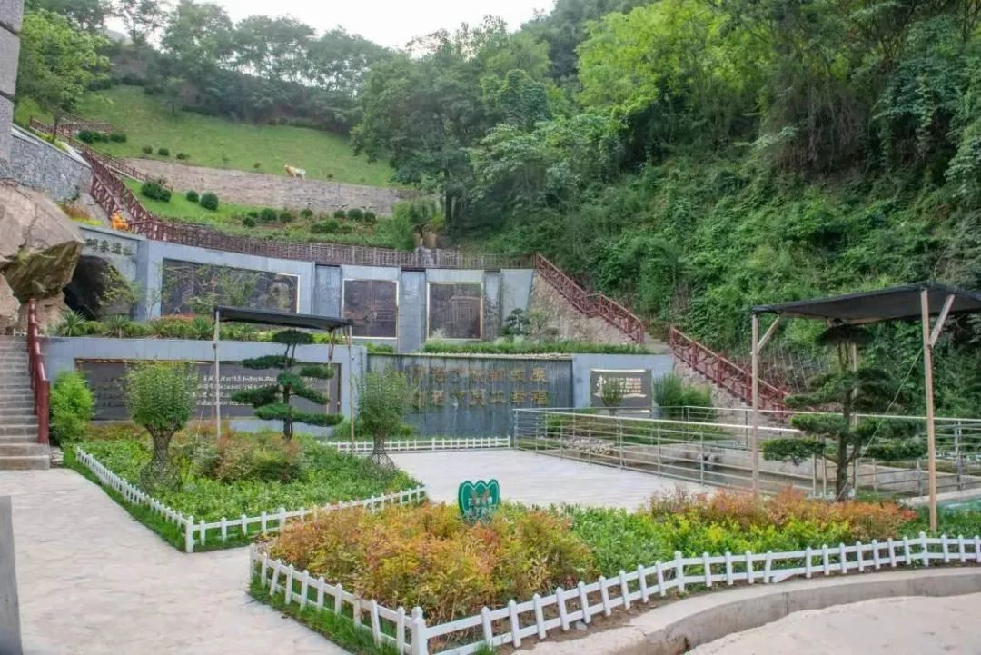 以革故鼎新,打造陜鋼生態(tài)糧倉 以革故鼎新,打造陜鋼生態(tài)糧倉