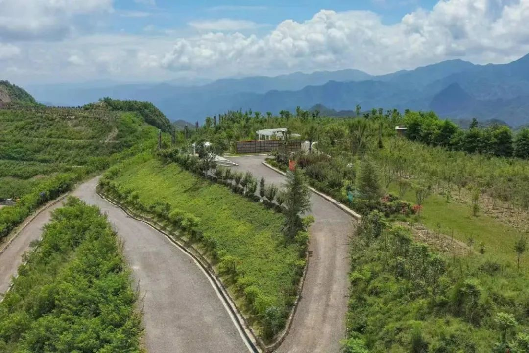 以革故鼎新,打造陜鋼生態(tài)糧倉 以革故鼎新,打造陜鋼生態(tài)糧倉