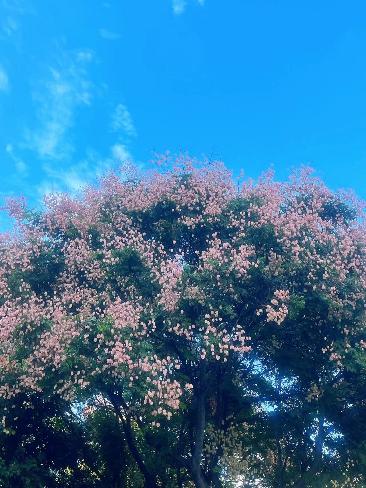 秋色漸濃 秋色漸濃