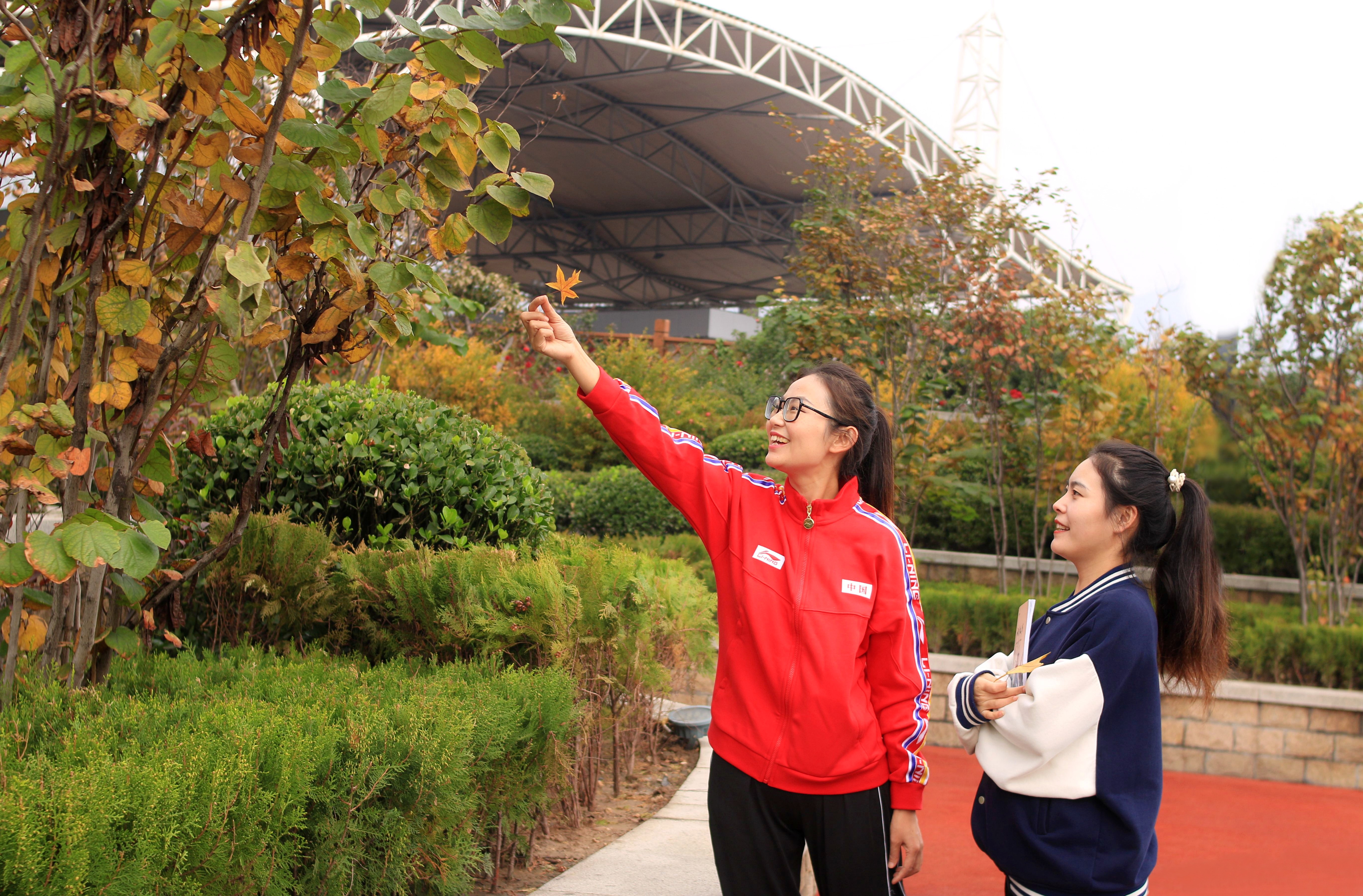 秋天的頌歌 秋天的頌歌