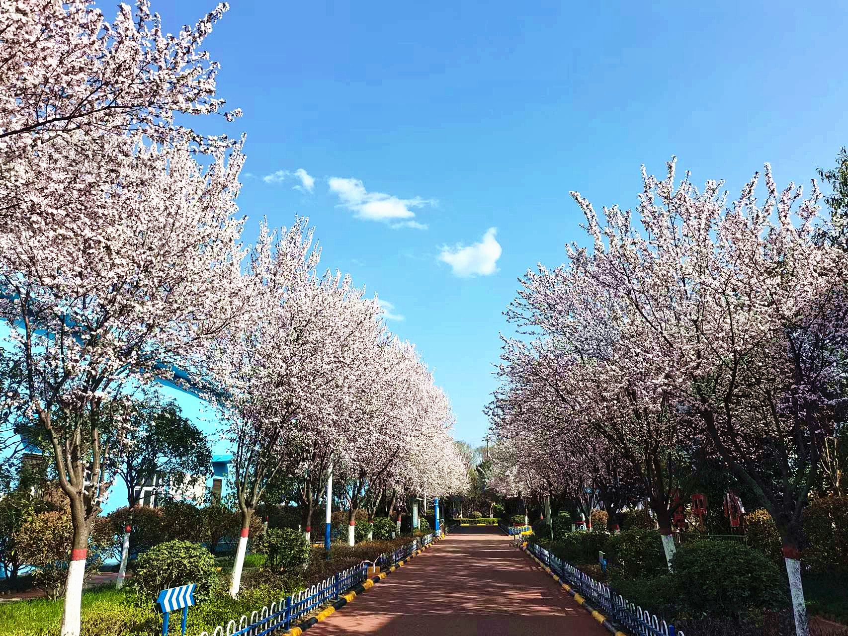 持續(xù)做好增綠擴(kuò)綠補(bǔ)綠 美麗漢鋼繪就綠色發(fā)展新篇章 持續(xù)做好增綠擴(kuò)綠補(bǔ)綠 美麗漢鋼繪就綠色發(fā)展新篇章