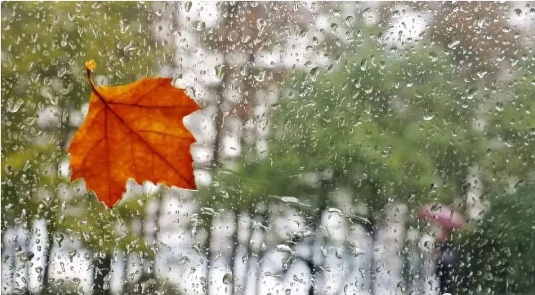 秋日私語 秋日私語