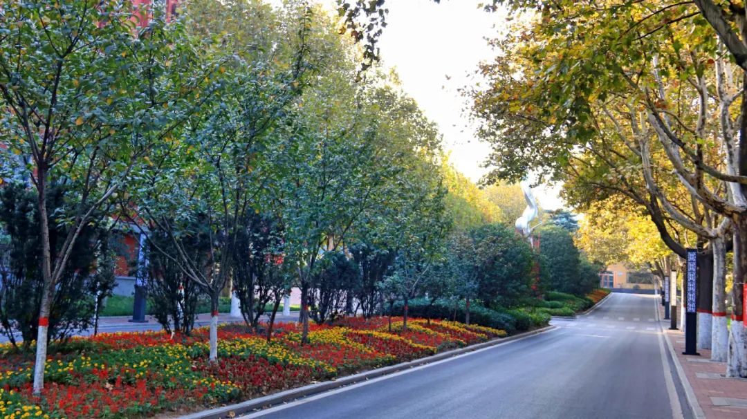 冬日的鋼城生機盎然 狀態“滿格” 冬日的鋼城生機盎然 狀態“滿格”