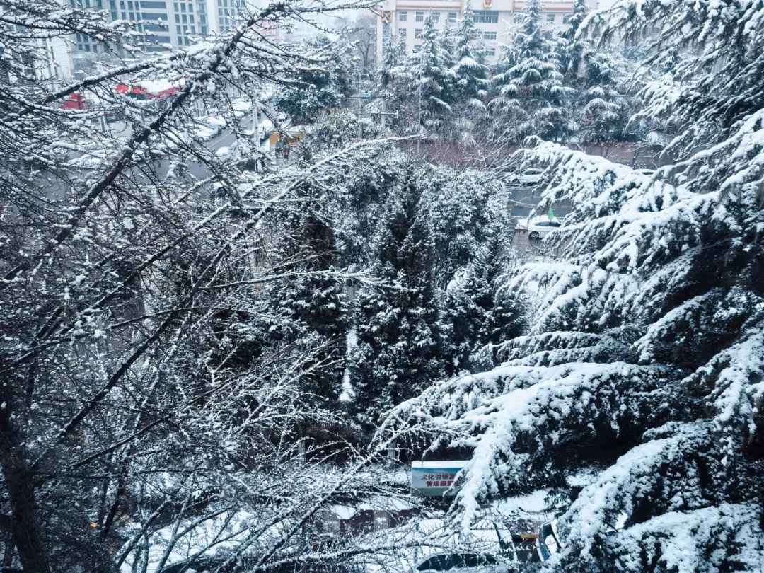 雪落長安 雪落長安