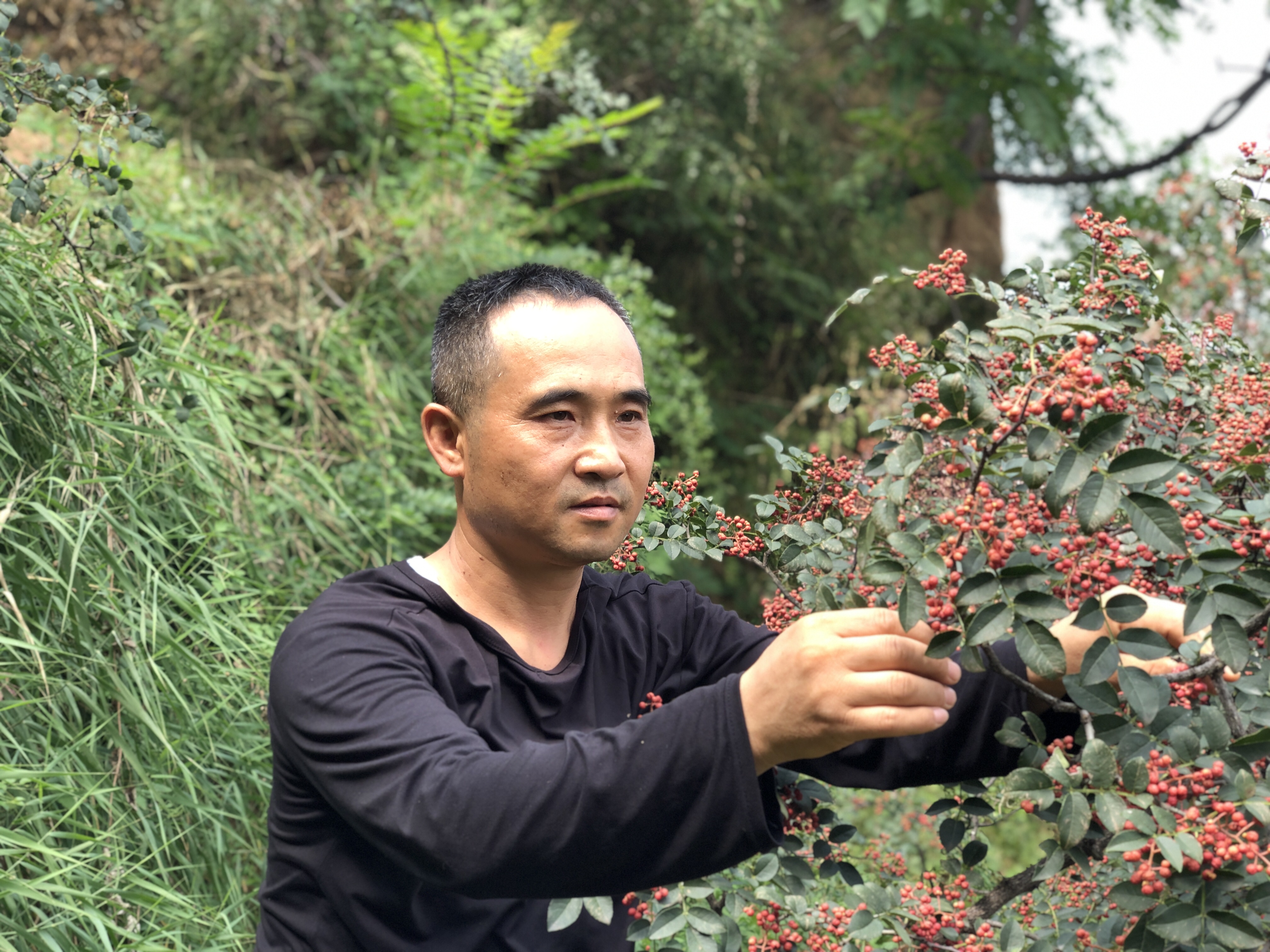 �澳Óؚ �ڄ��¸� ����ӛ2023����ԏ���־���n�ǵ���ģ��������܊