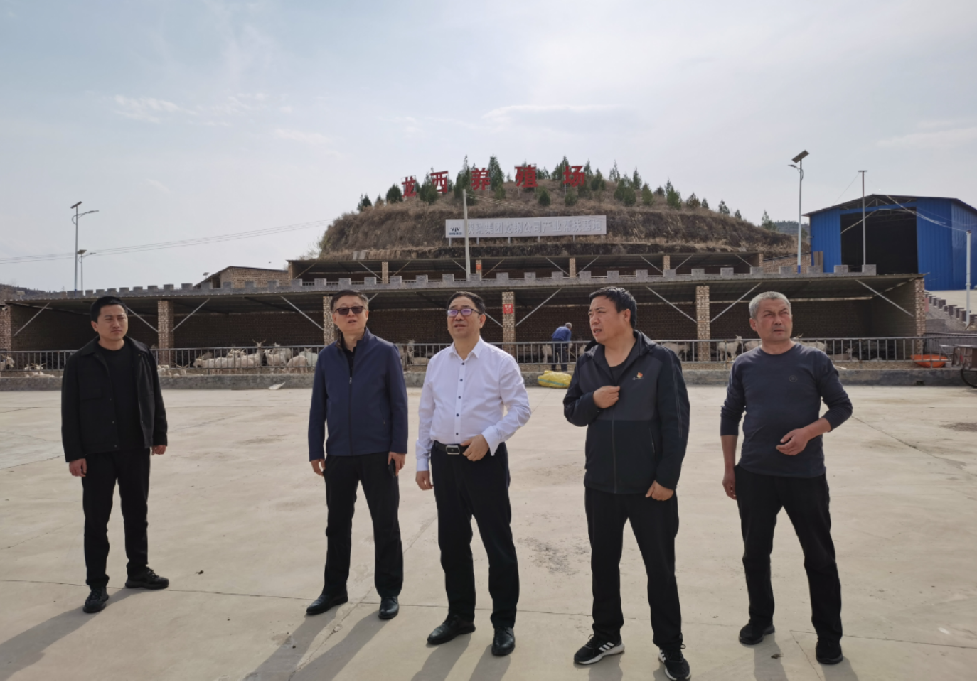 武軍強到西直溝村開展助力鄉村振興工作調研 武軍強到西直溝村開展助力鄉村振興工作調研