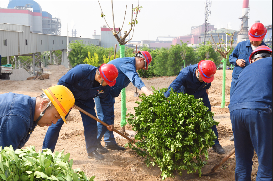 陜鋼龍鋼公司自主綠化節資1000萬元 陜鋼龍鋼公司自主綠化節資1000萬元