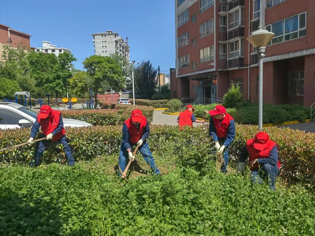 䓼F(tun)F(tun)ί_չP(yng)ഺ֮ ^(dng)r(sh)o(j)ġ\(yn)(dng)105ϵл(dng)