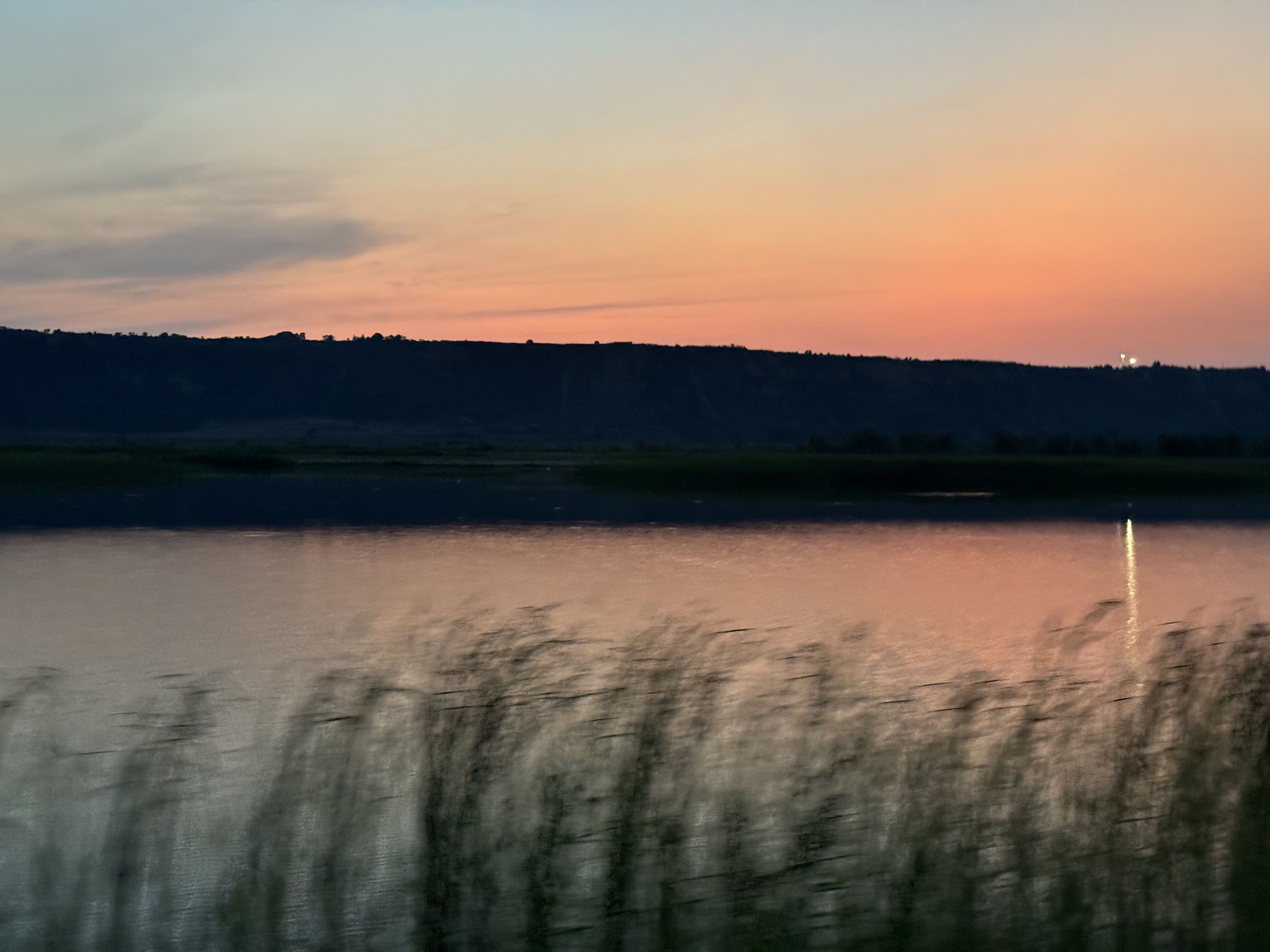秋風又起時 秋風又起時
