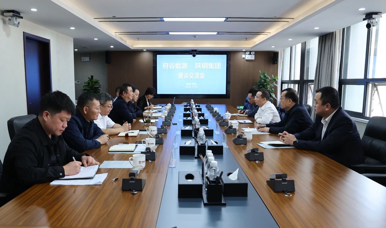 府谷能源公司李寧一行來訪陜鋼集團 府谷能源公司李寧一行來訪陜鋼集團