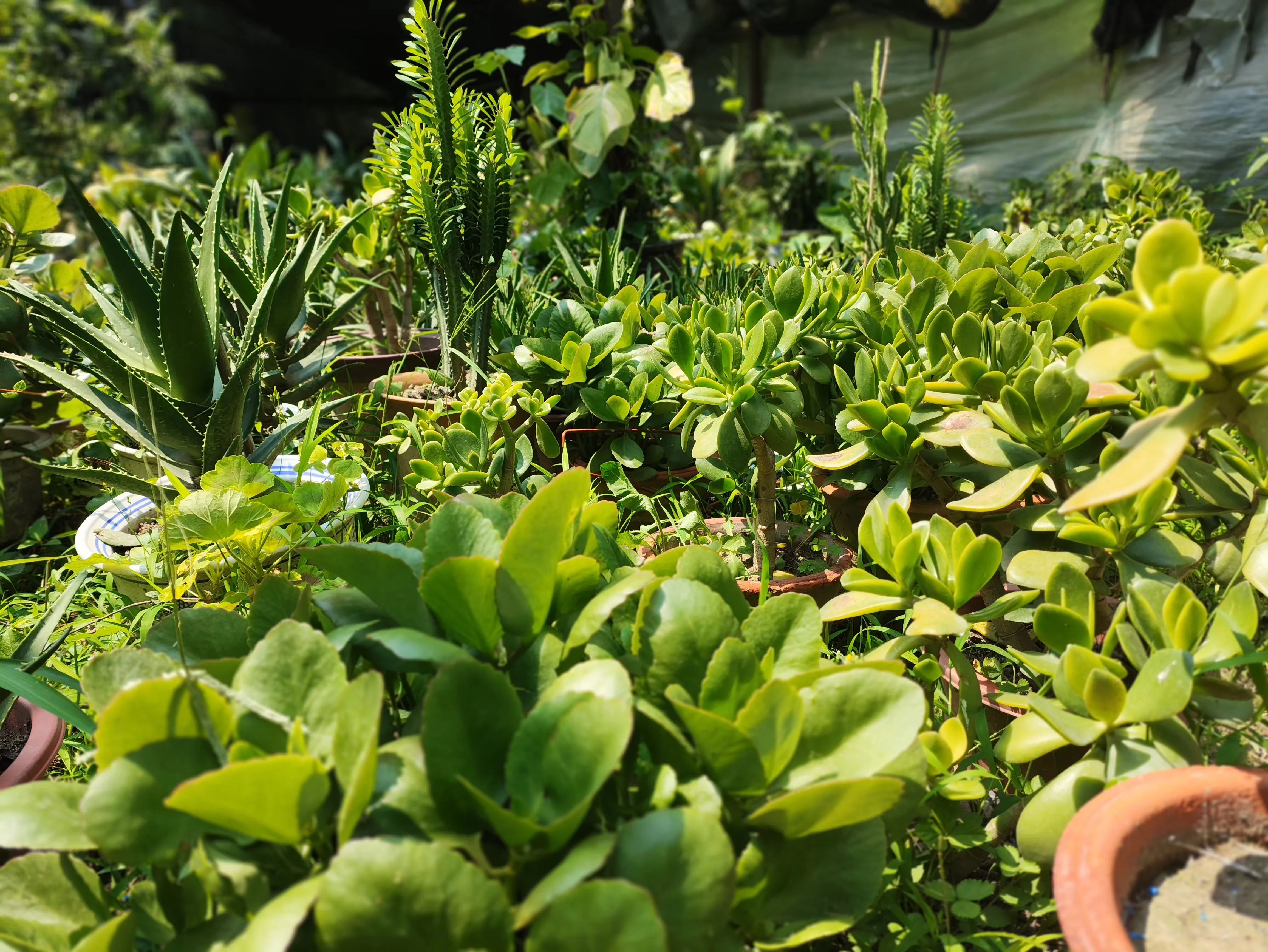 創(chuàng)建溫馨美麗園區(qū) 助推多元產業(yè)發(fā)展 創(chuàng)建溫馨美麗園區(qū) 助推多元產業(yè)發(fā)展