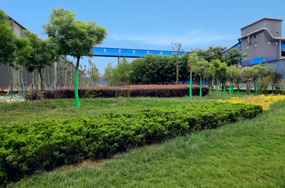 戰略引領+精益管理 繪就項目建設新藍圖 戰略引領+精益管理 繪就項目建設新藍圖