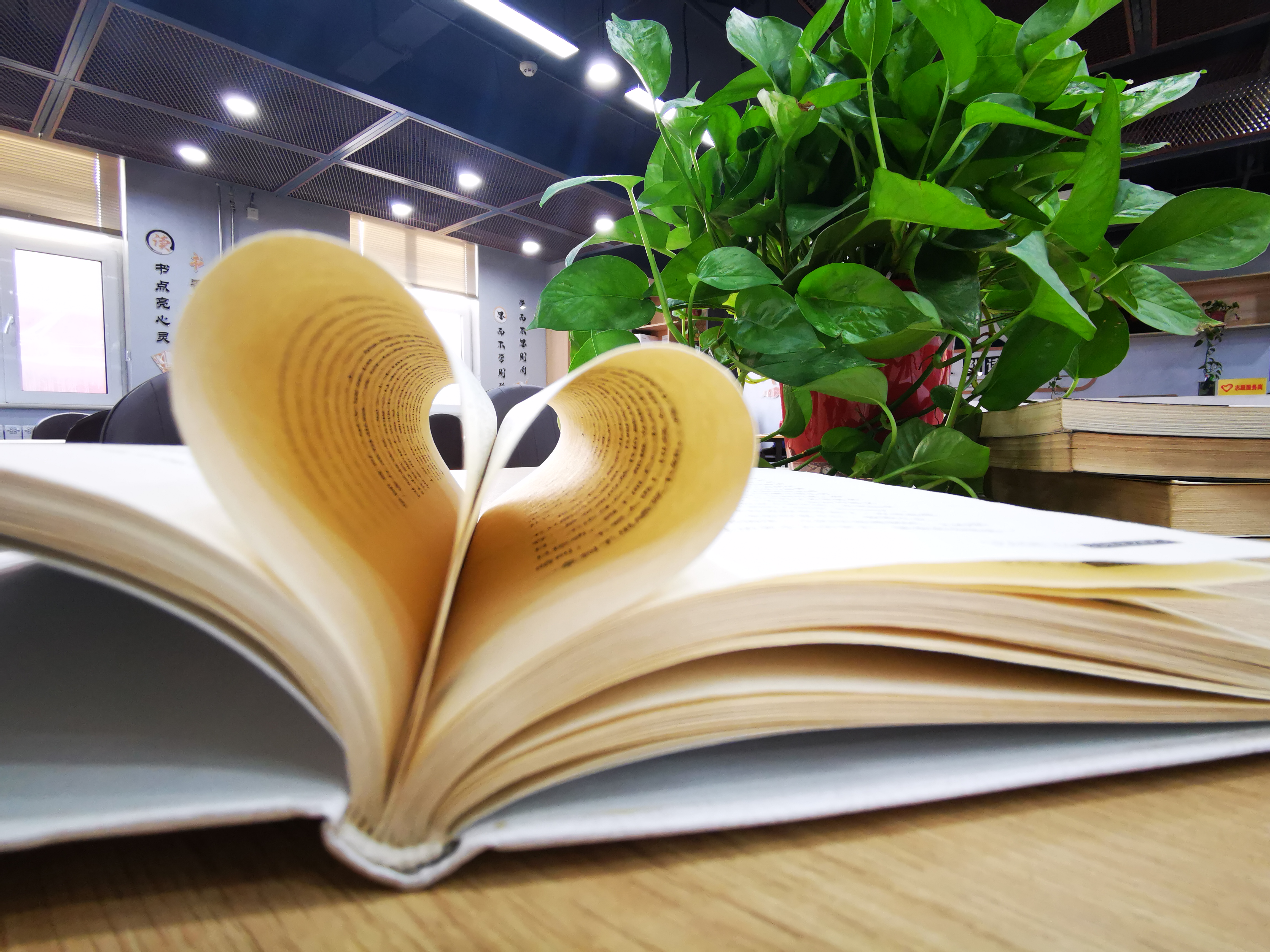 將生活過(guò)成自己喜歡的模樣 將生活過(guò)成自己喜歡的模樣