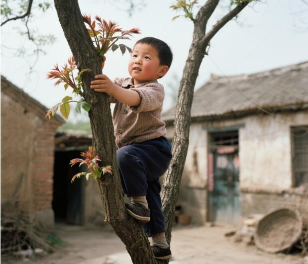 香椿香里憶流年 香椿香里憶流年