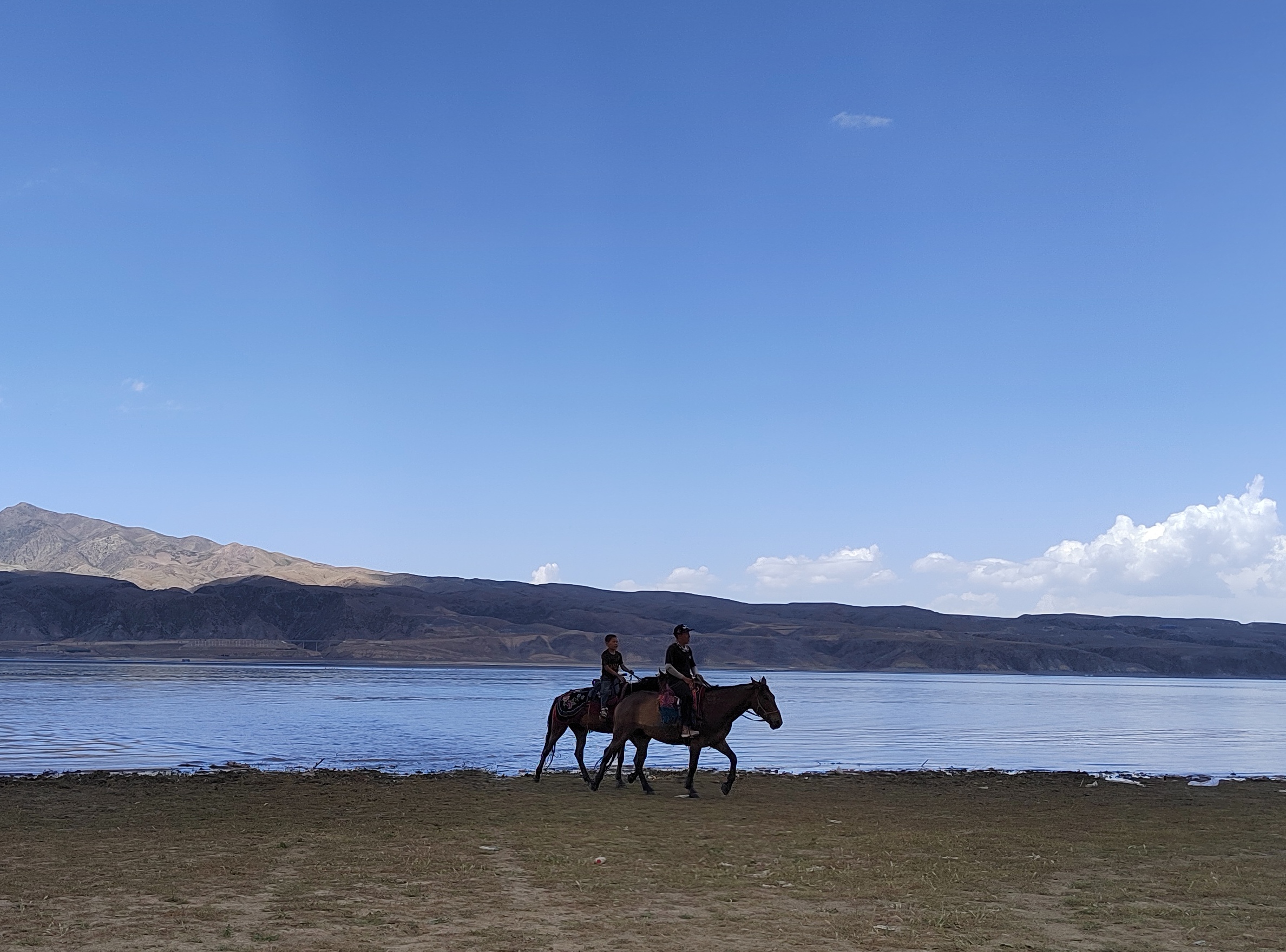 特克斯會說話 說給懂的人聽 特克斯會說話 說給懂的人聽