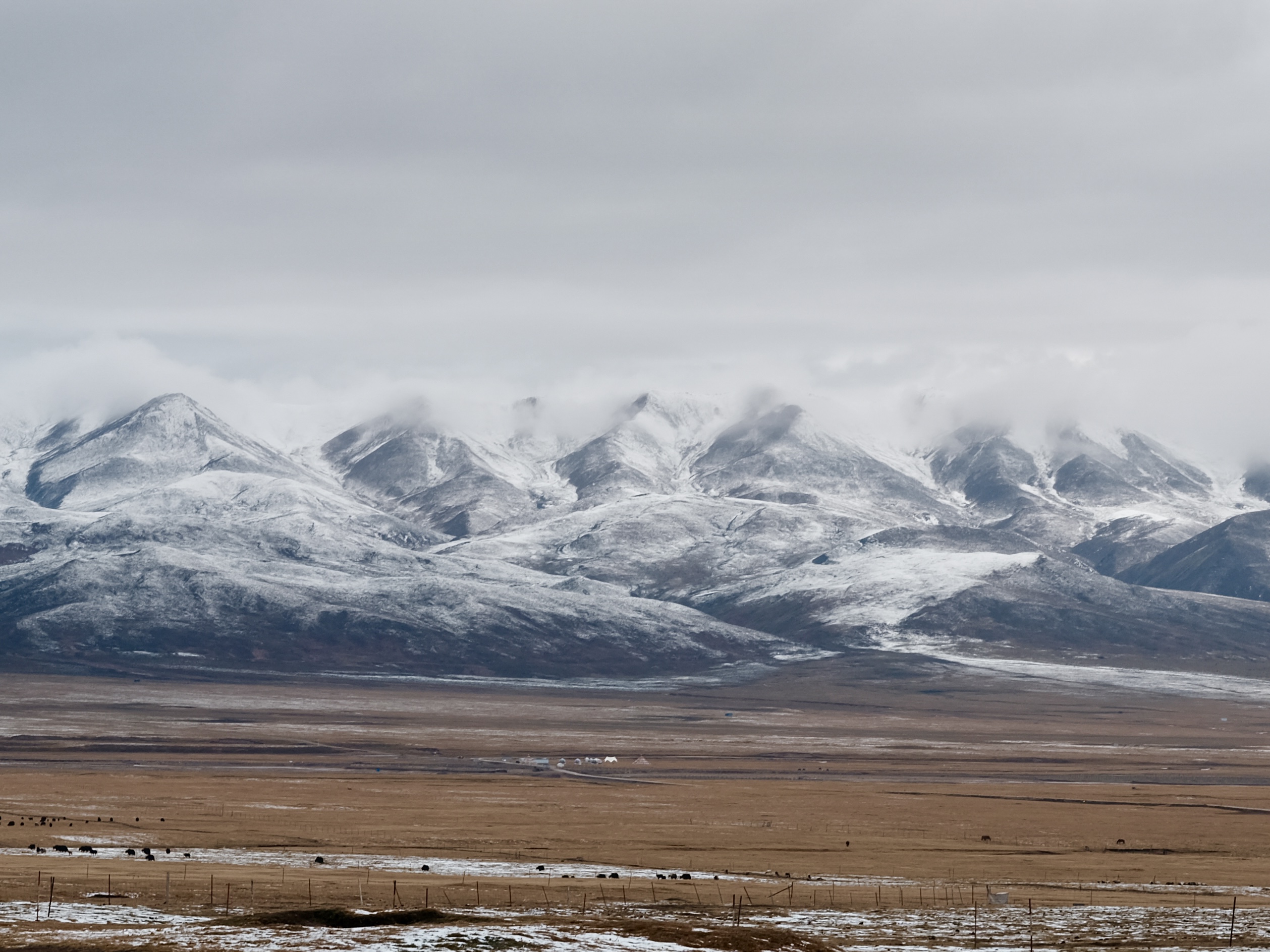 風從祁連來 風從祁連來