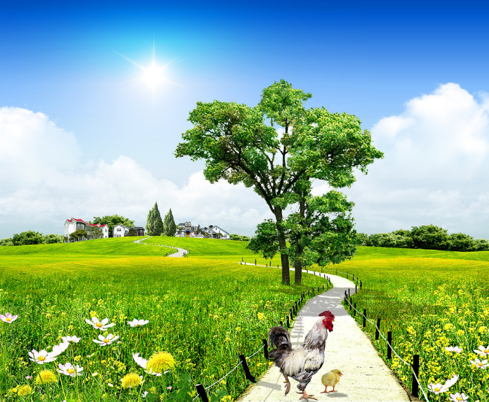 【改革開放40周年】回家的路 【改革開放40周年】回家的路